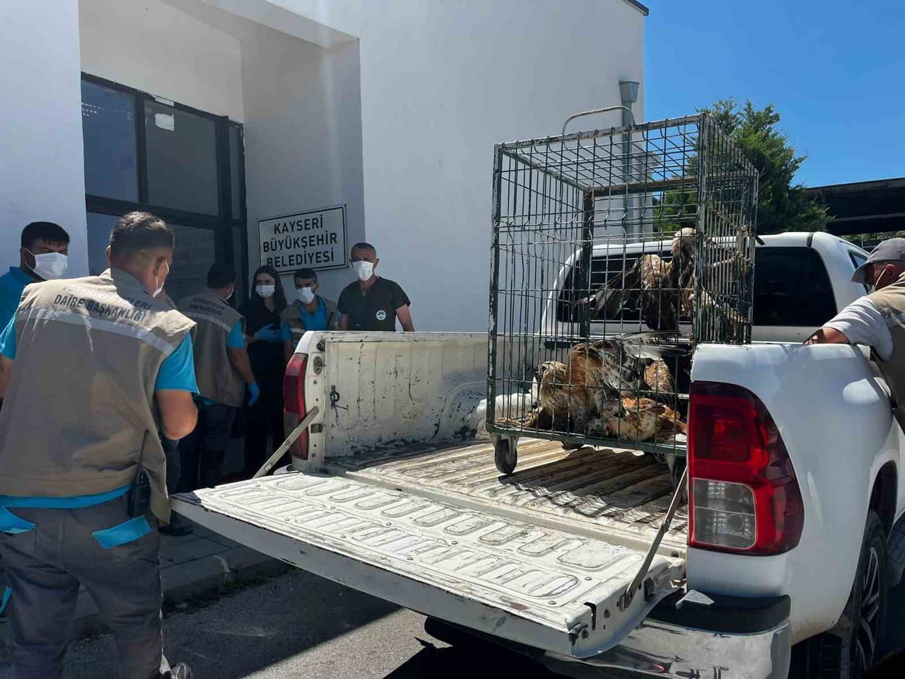 ANADOLU HARİKALAR DİYARI HAYVANAT BAHÇESİ'NDE TEDAVİ VE REHABİLİTASYON SÜREÇLERİ TAMAMLANAN 35...