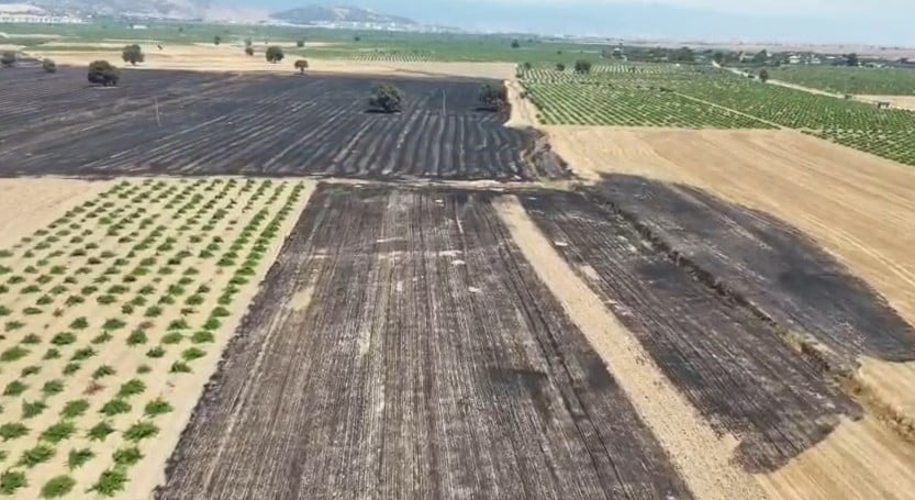 ANIZ YANGINININ GERİDE BIRAKTIĞI TAHRİBAT, GÜNÜN İLK IŞIKLARIYLA BİRLİKTE DRONLA ÇEKİLEN...
