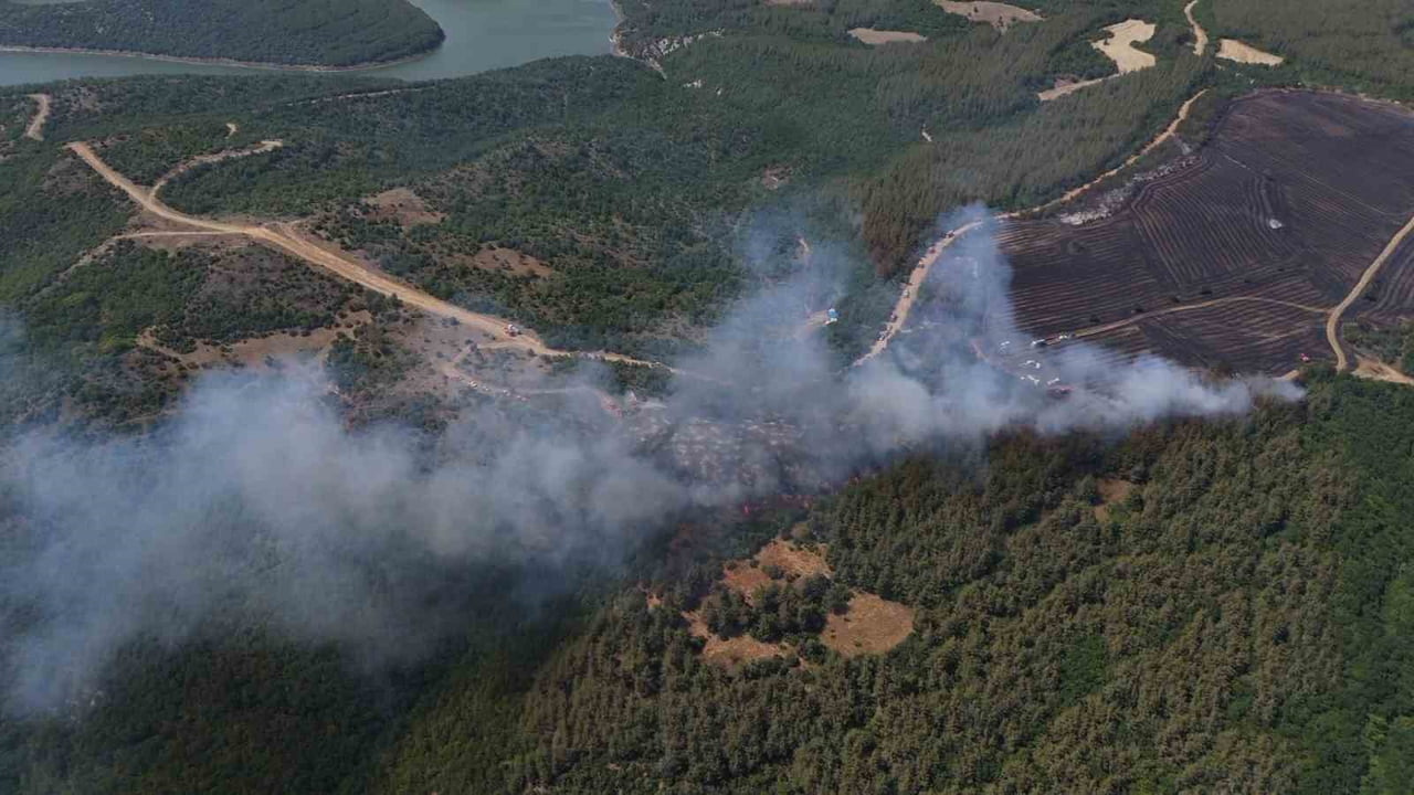 ANIZDAN ORMANA SIÇRAYAN YANGIN DRON İLE GÖRÜNTÜLENDİ