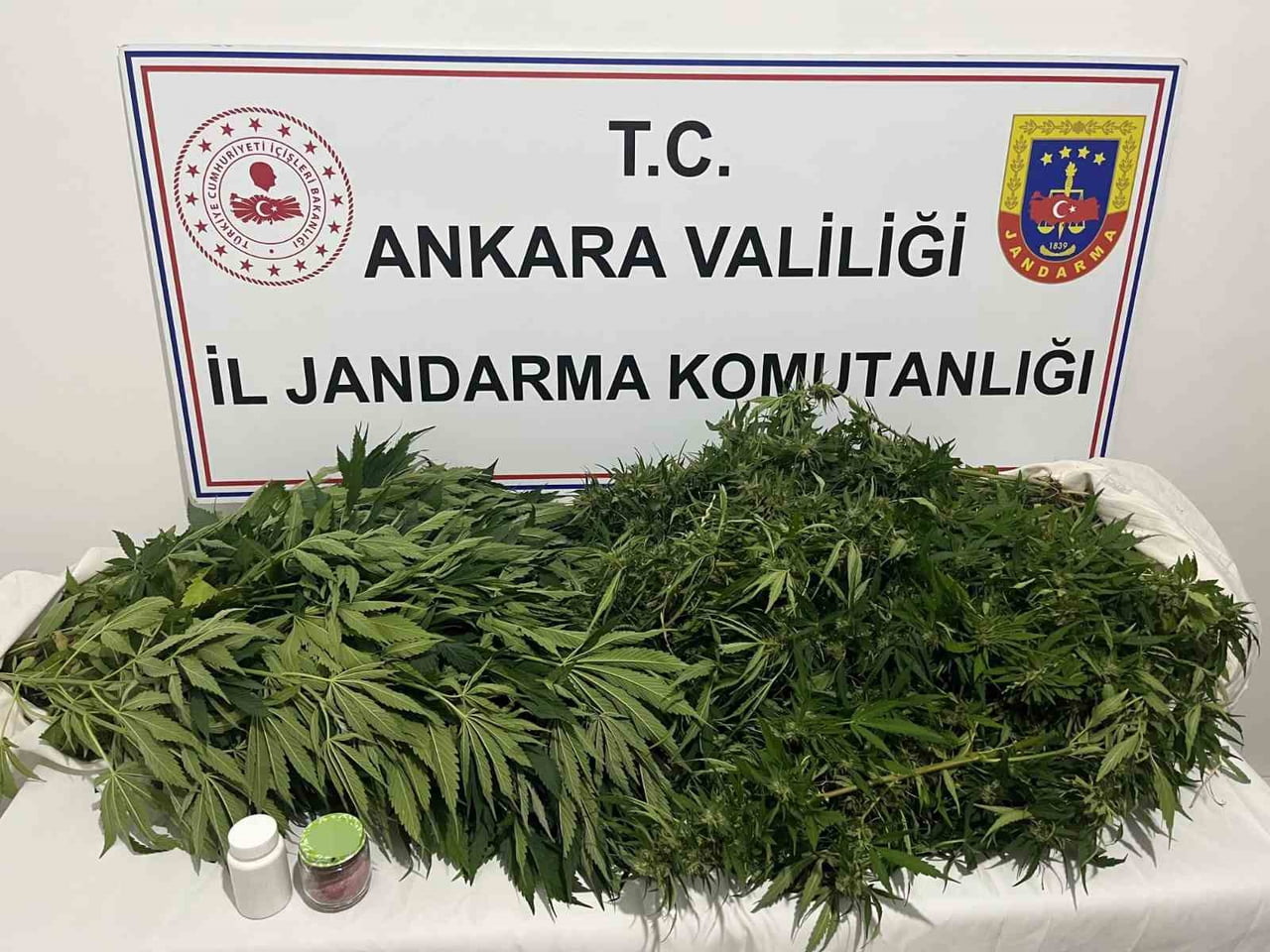 ANKARA'DA, JANDARMA EKİPLERİNCE İCRA EDİLEN NARKOTİK OPERASYONUNDA YAKLAŞIK 150 KÖK KENEVİR İLE 50...