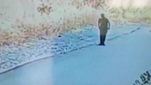 Ankara'da otluk alanda yangın çıkaran şüpheli kamerada