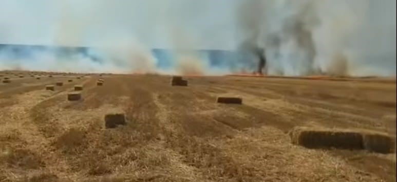ANKARA'NIN NALLIHAN İLÇESİNDE BİR TARLADA ÇIKAN YANGIN, EKİPLERİN YOĞUN ÇALIŞMALARININ ARDINDAN...