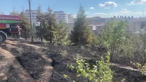 Ankara’da arazide çıkan yangın kontrol altına alındı
