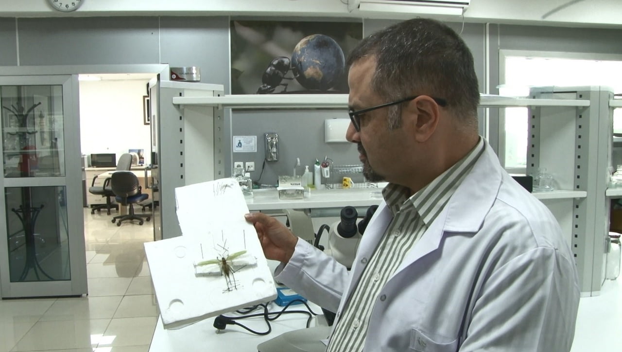 ANKARA ÜNİVERSİTESİ ZİRAAT FAKÜLTESİ ÖĞRETİM ÜYESİ PROF. DR. UMUT TOPRAK AÇIKLAMA YAPTI