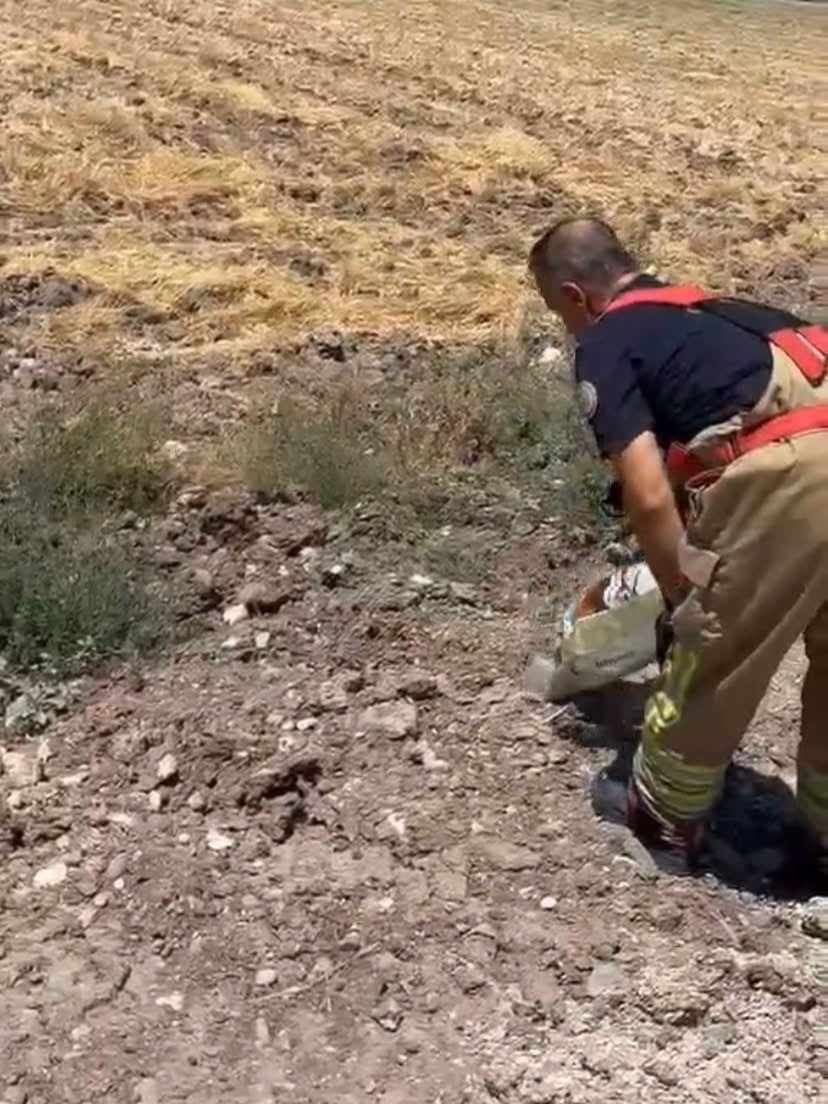 ANTAKYA VE HASSA İLÇELERİNDE YERLEŞİM ALANLARINDA GÖRÜLEN YILANLAR, EKİPLER TARAFINDAN ZARAR...