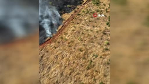 Antalya'da ormanlık alanı tehdit eden yangın kontrol altına alındı