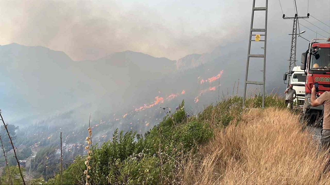 ANTALYA'NIN ALANYA İLÇESİ SAPADERE KANYONU'NDA BULUNAN ORMANLIK ALANDA YANGIN ÇIKTI.