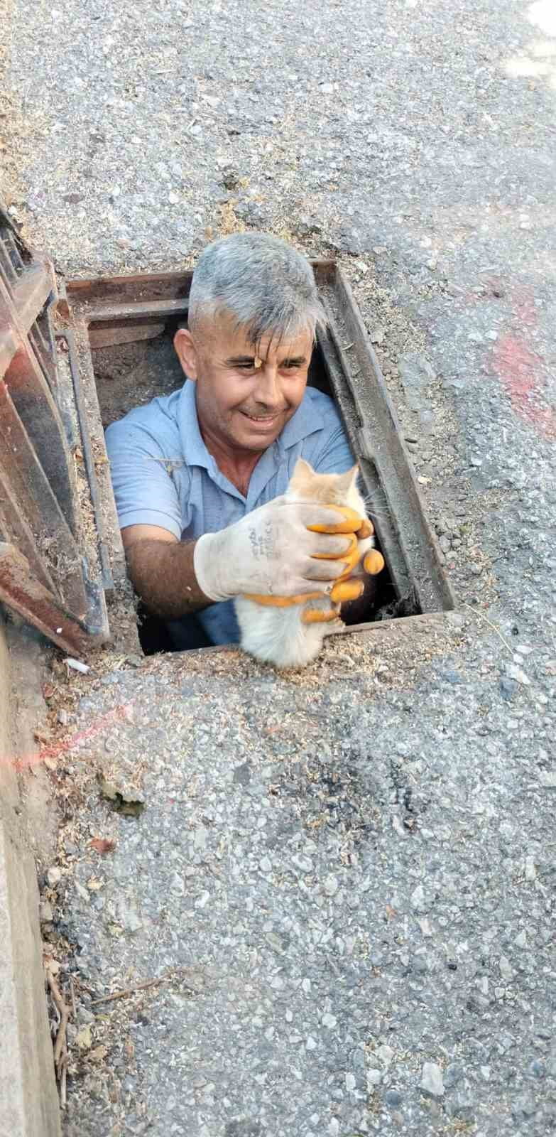 ANTALYA'NIN ALANYA İLÇESİNDE KANALİZASYONA DÜŞEREK MAHSUR KALAN KEDİ, ALANYA BELEDİYESİ...