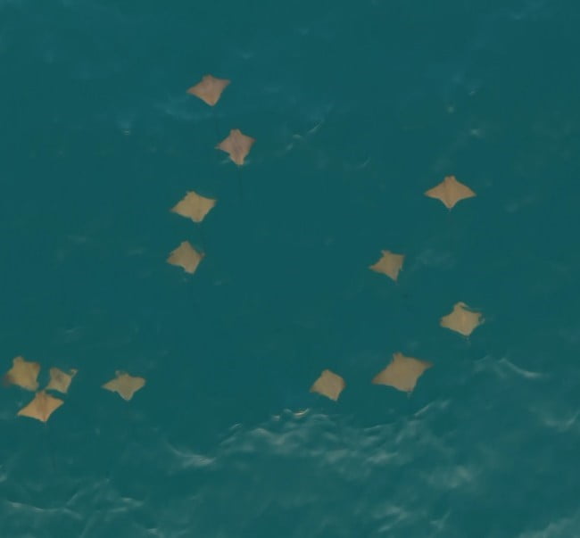 ANTALYA'NIN MANAVGAT İLÇESİ İLARMA SAHİLİNDE GEÇTİĞİMİZ GÜNLERDE AMATÖR DRONE OPERATÖRÜ BİR...