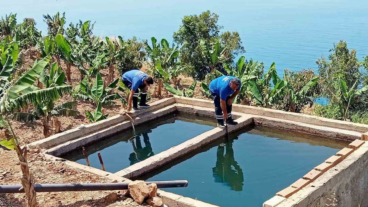 ANTALYA BÜYÜKŞEHİR BELEDİYESİ, ÇEVRE KORUMA VE KONTROL DAİRESİ BAŞKANLIĞI EKİPLERİ, VEKTÖREL...