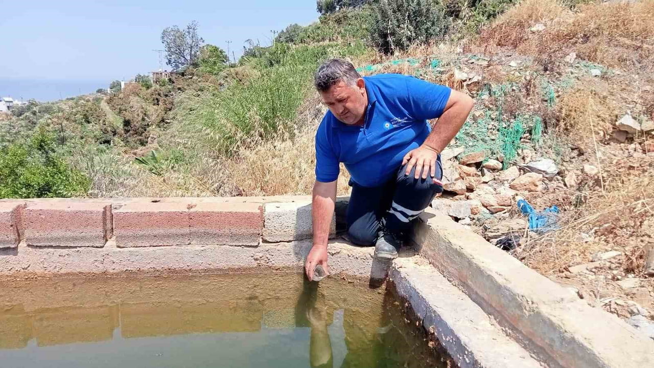 ANTALYA BÜYÜKŞEHİR BELEDİYESİ, ÇEVRE KORUMA VE KONTROL DAİRESİ BAŞKANLIĞI EKİPLERİ, VEKTÖREL...