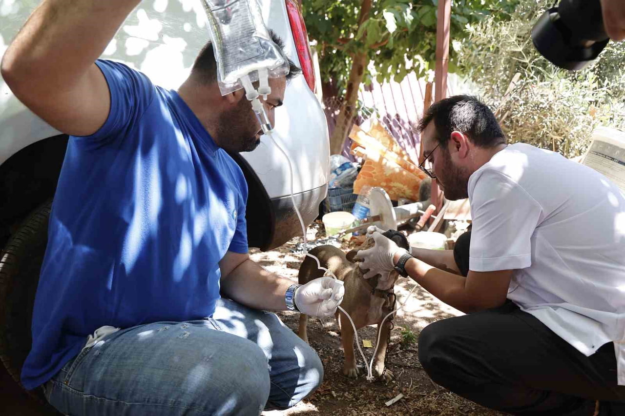 ANTALYA BÜYÜKŞEHİR BELEDİYESİ, KUMLUCA’NIN YAZIR MAHALLESİ’NDE MEYDANA GELEN ORMAN YANGINININ...