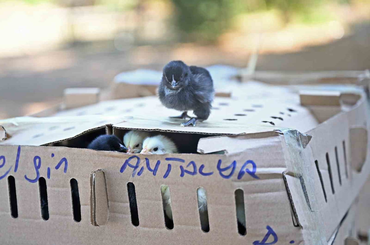 ANTALYA BÜYÜKŞEHİR BELEDİYESİ ZABITA VE GÜVENLİK GÖREVLİLERİNCE, ANTALYA ŞEHİRLERARASI OTOBÜS...