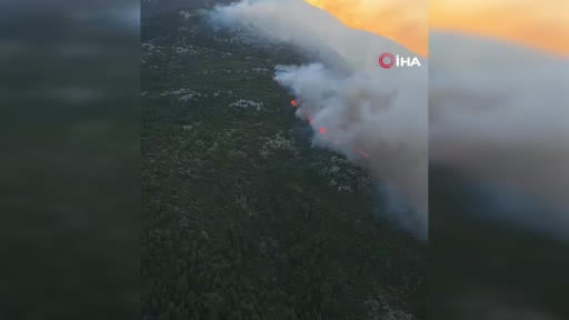 Antalya Kaş’ta orman yangını