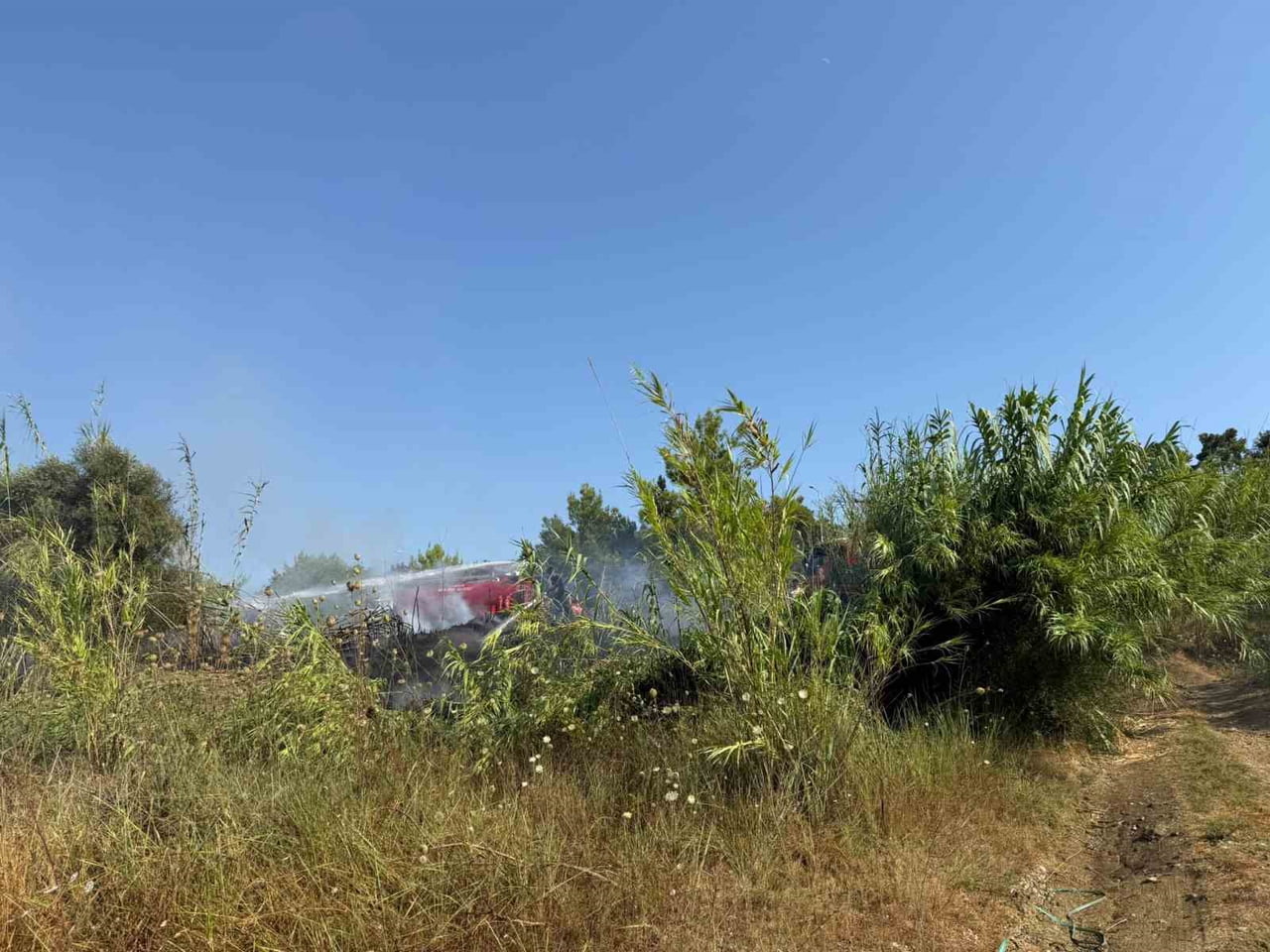 ANTALYA’NIN MANAVGAT İLÇESİNDE SULAMA KANALI YOLU ÜZERİNDE KAMIŞLIK ALANDA ÇIKAN YANGIN...