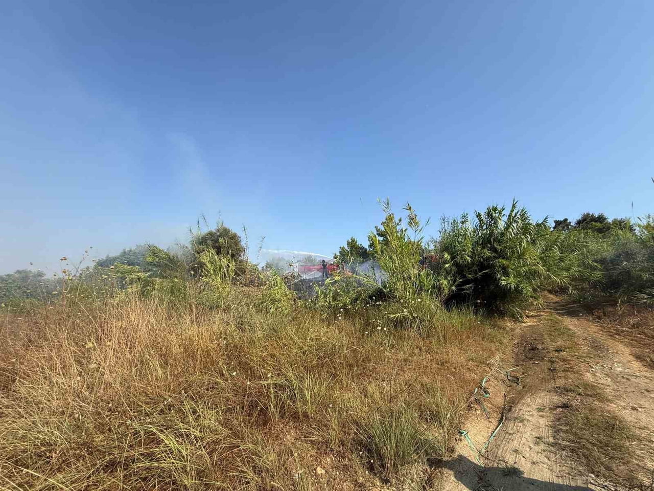 ANTALYA’NIN MANAVGAT İLÇESİNDE SULAMA KANALI YOLU ÜZERİNDE KAMIŞLIK ALANDA ÇIKAN YANGIN...