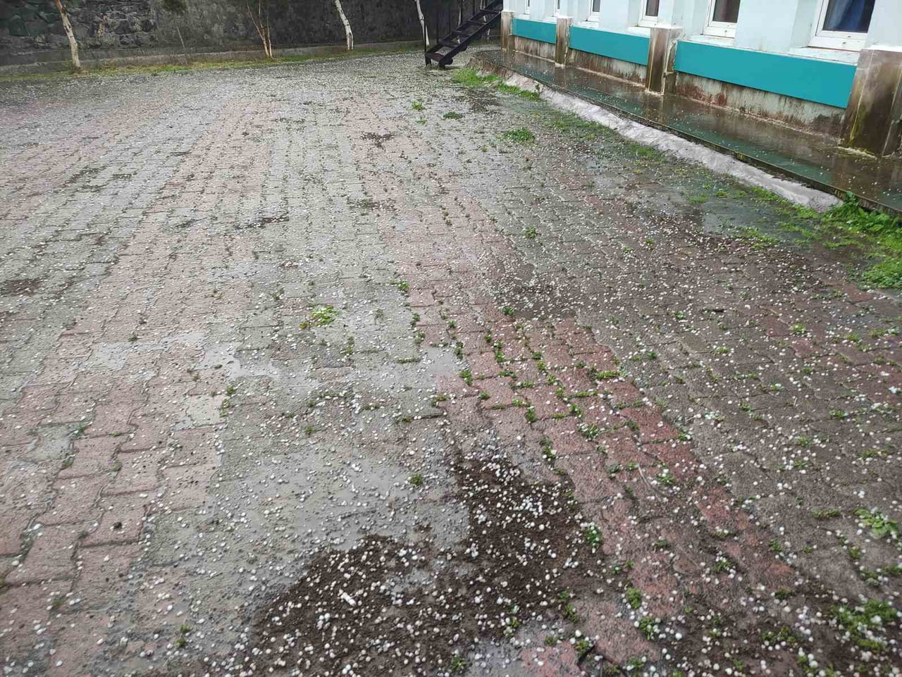 ARDAHAN'DA SAĞANAK VE DOLU YAĞIŞI TARIM ARAZİLERİNE ZARAR VERDİ.