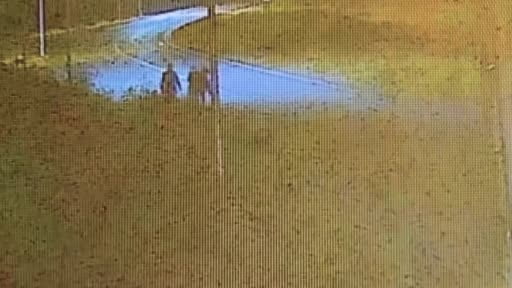 Arnavutköy'de cinayet gibi kazada araç sürücüsü tutuklandı