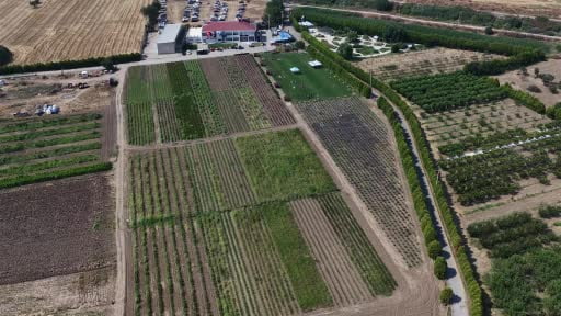 Aromaterapinin kalbi Balıkesir’de attı
