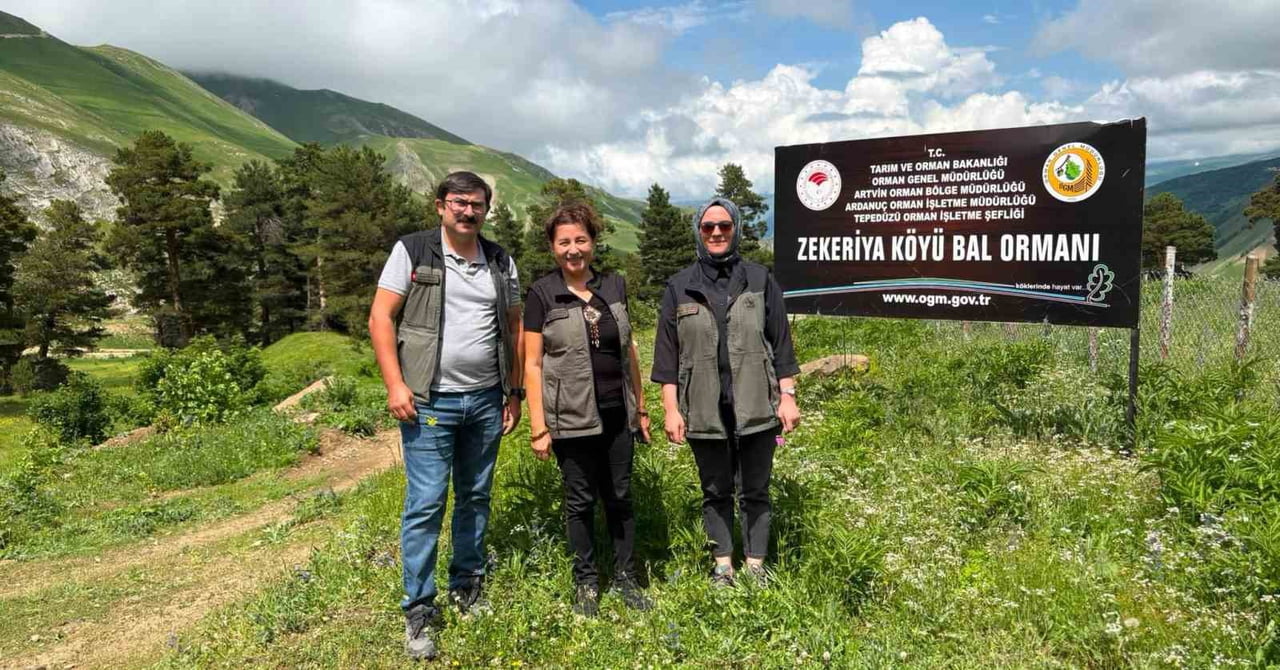 ARTVİN'İN ARDANUÇ İLÇESİNDE BULUNAN ZEKERİYA KÖYÜ BAL ORMANI'NDA YENİ BAL SEZONU ÖNCESİ...