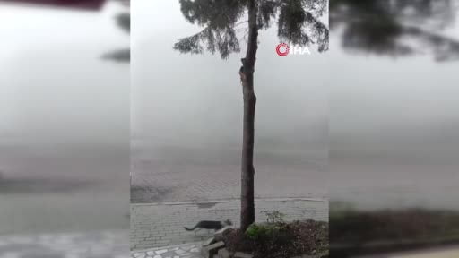Avcılar'da kentsel dönüşüm kapsamında yapılan yıkım sırasında ortalık toz duman oldu