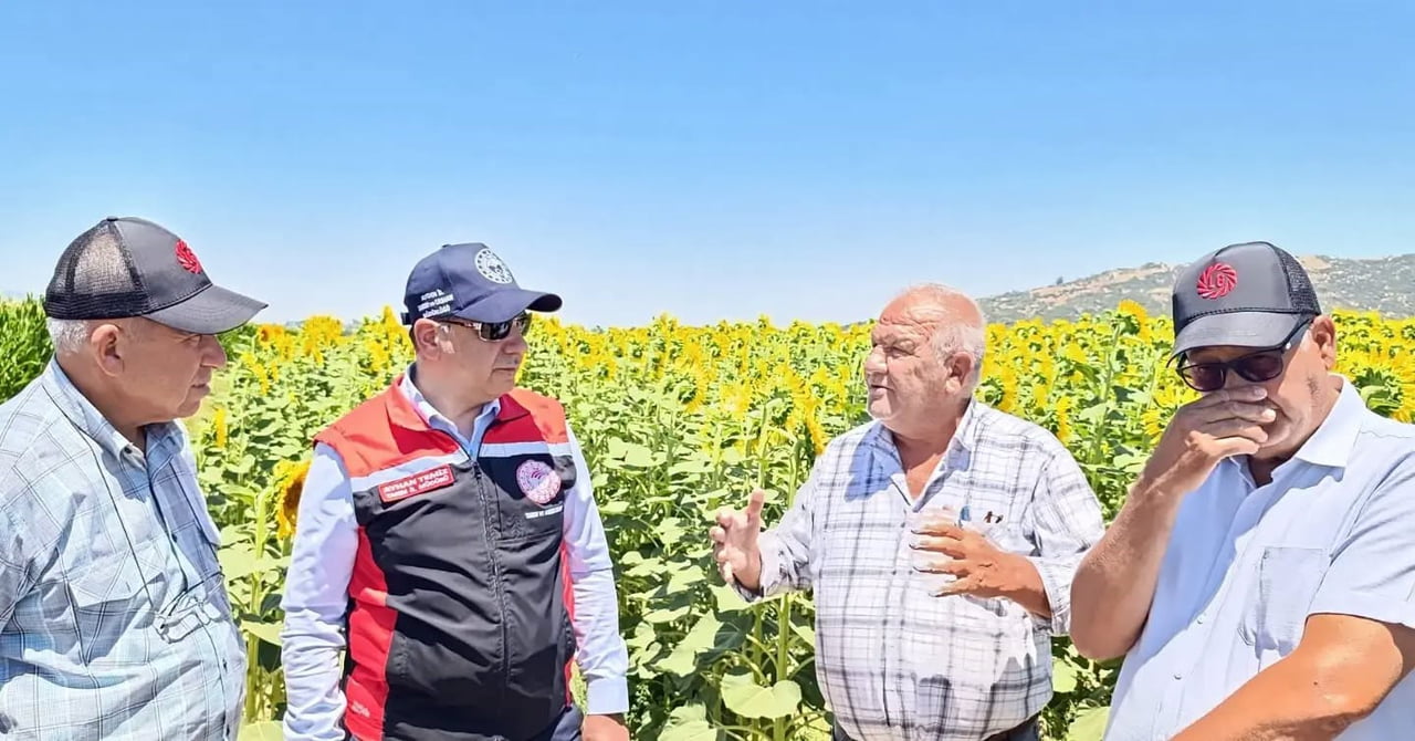AYDIN'DA 2026 ÇİFTÇİ KAYIT SİSTEMİ VERİLERİNE GÖRE 218 BİN 51 DEKARLIK ALANDA GERÇEKLEŞTİRİLEN...