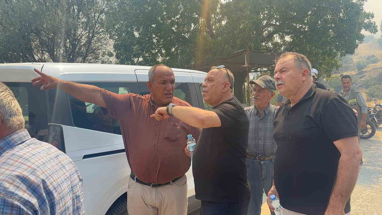 AYDIN'IN BOZDOĞAN İLÇESİNDE ZİRAAT VE OTLUK ALANDA ÇIKAN YANGINA HAVADAN VE KARADAN MÜDAHALE...