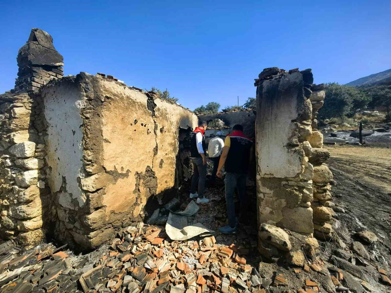 AYDIN'IN BOZDOĞAN İLÇESİNDE ZİRAAT VE OTLUK ALANDA ÇIKAN YANGININ ARDINDAN ASMA, YAZIKENT VE...