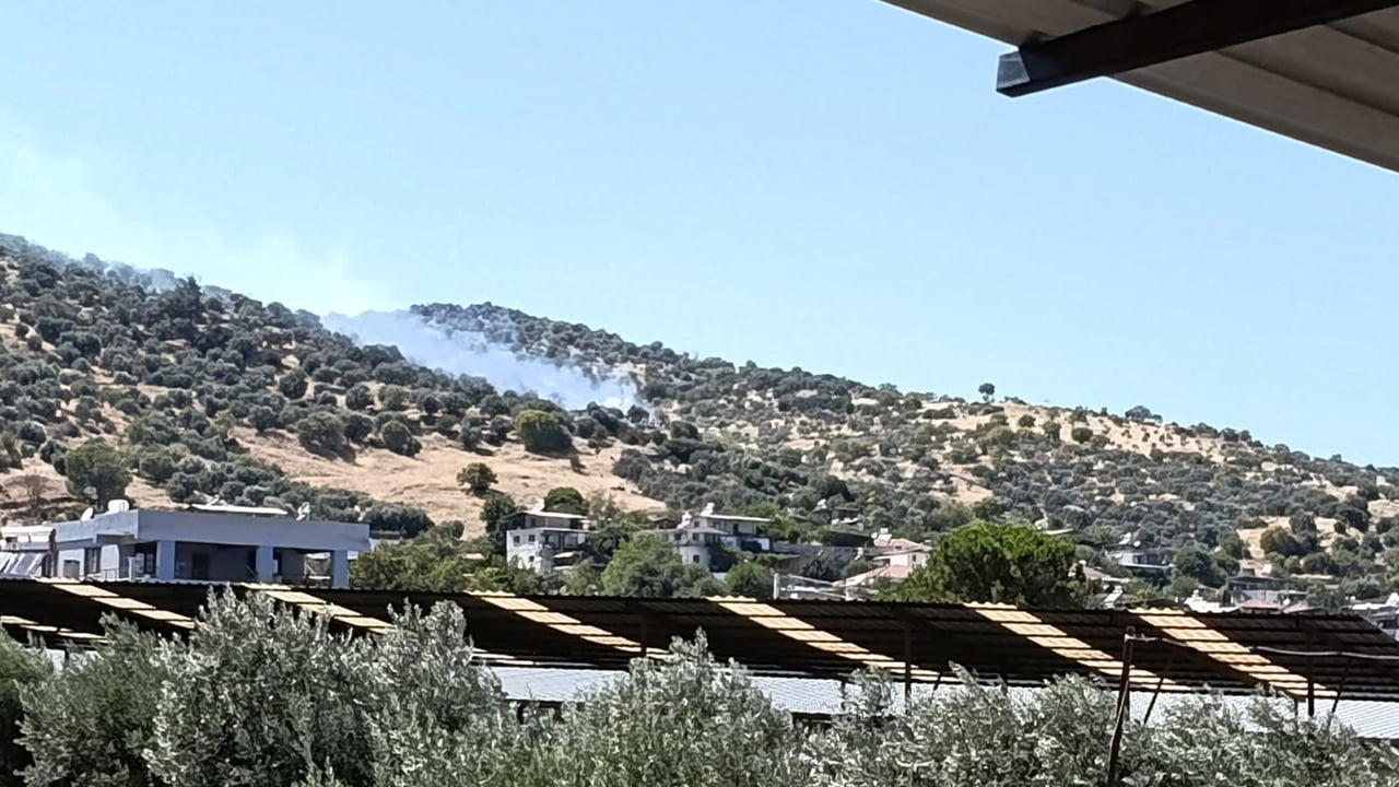 AYDIN'IN BOZDOĞAN İLÇESİNDE ZİRAİ ALANDAKİ YANGINI SÖNDÜRMEK İÇİN EKİPLER MÜDAHALE...