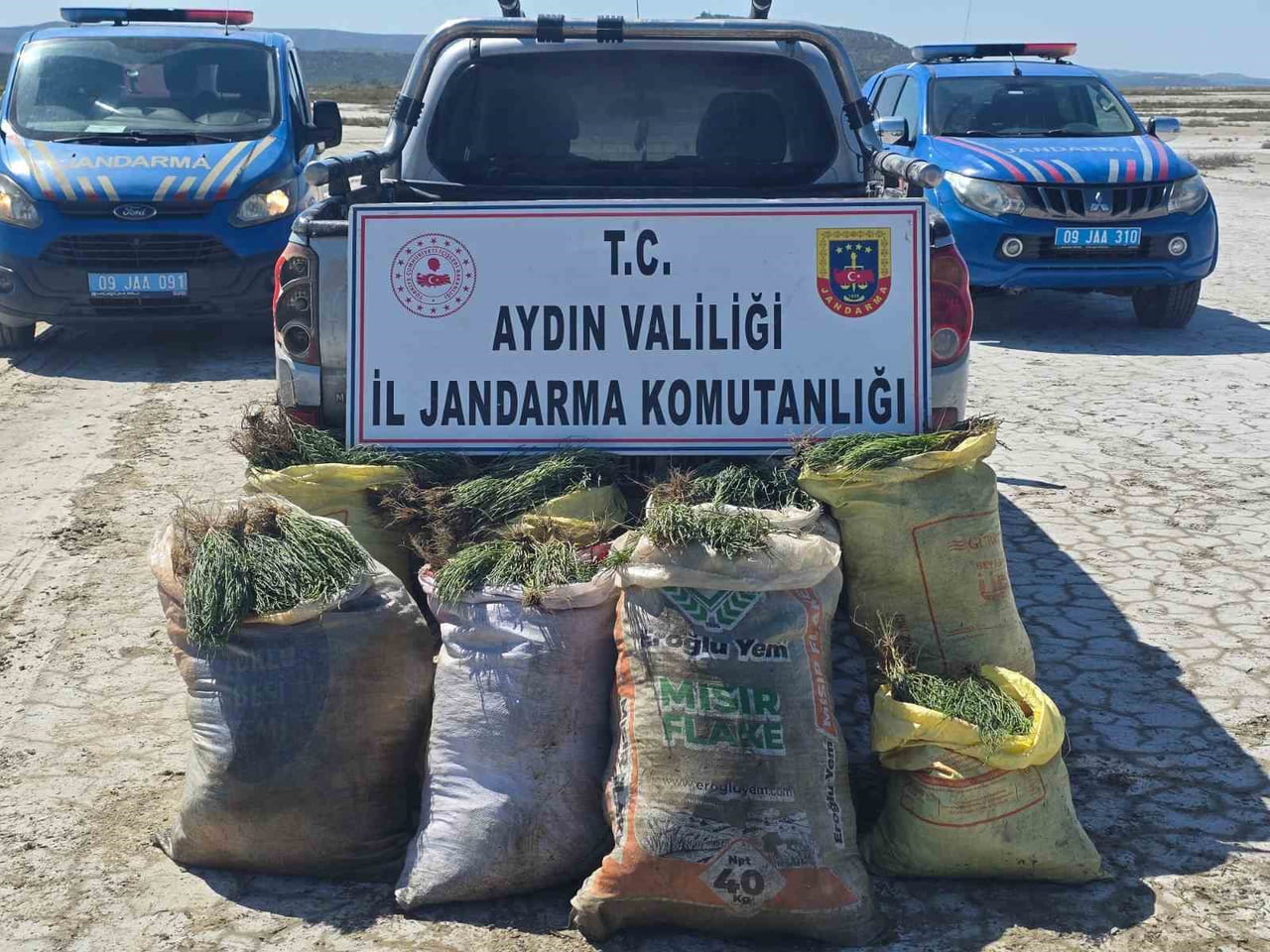 AYDIN'IN DİDİM İLÇESİNDE JANDARMA EKİPLERİNCE DOĞAL KORUMA ALANLARINDA GERÇEKLEŞTİRİLEN...