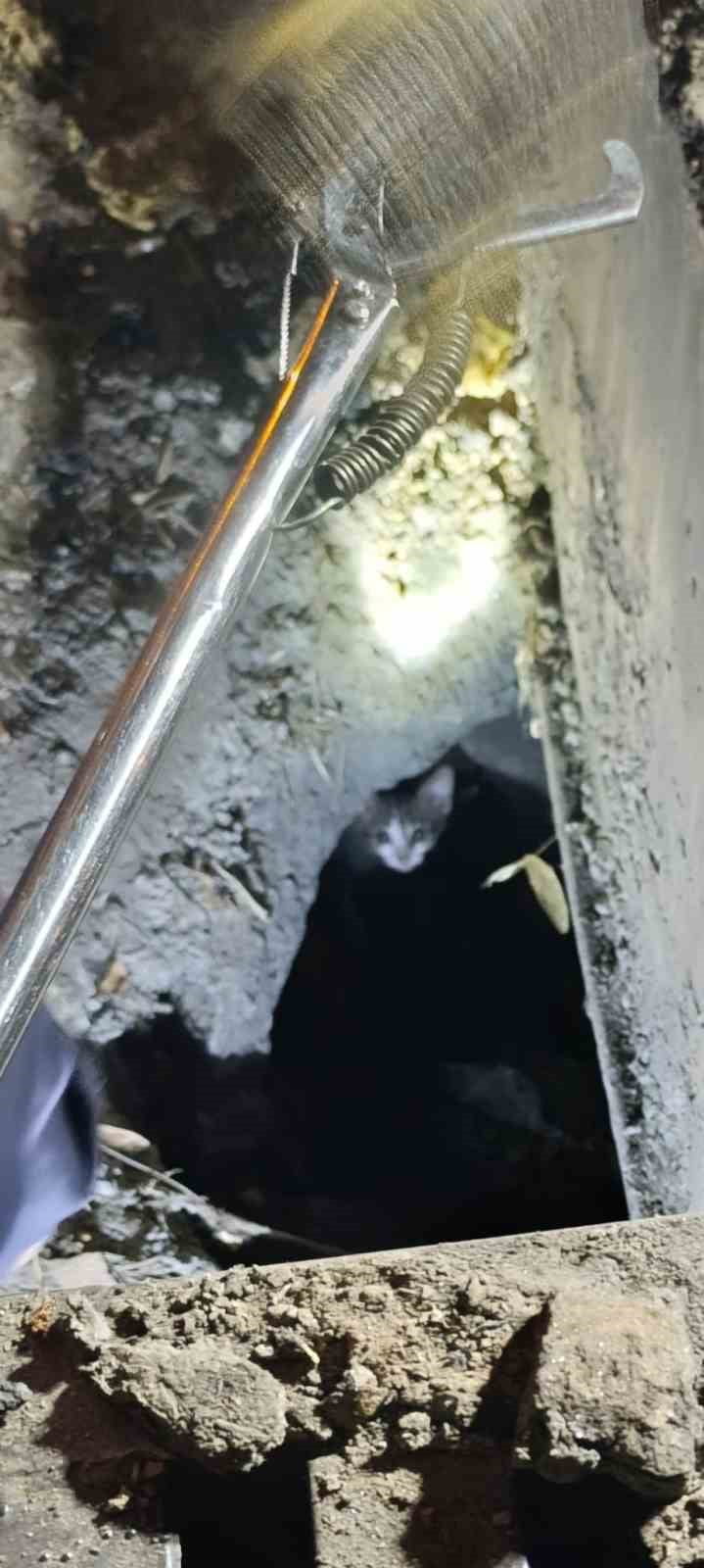 AYDIN'IN EFELER İLÇESİNDE 3 GÜNDÜR MAZGAL ALTINDA MAHSUR KALAN KEDİ, İTFAİYE VE BELEDİYE...