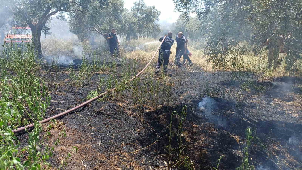 AYDIN'IN EFELER İLÇESİNDE İDDİALARA GÖRE BİR ŞAHIS KURU OTLARI BİÇTİĞİ SIRADA ZEYTİNLİK ALANDA...