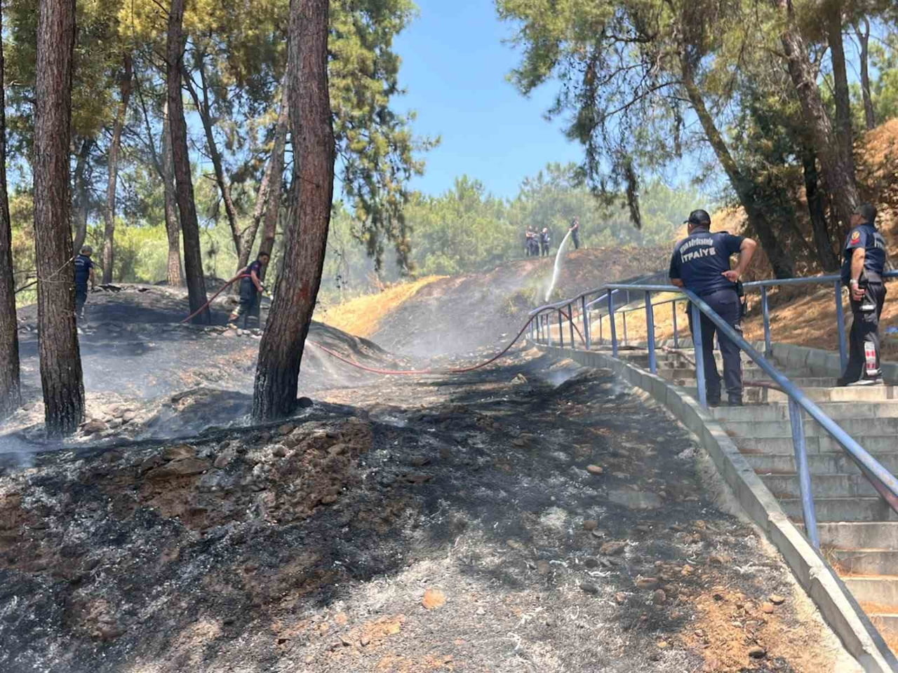 AYDIN'IN EFELER İLÇESİNDEKİ MESİRE ALANINDA ÇIKAN YANGIN AYDIN BÜYÜKŞEHİR BELEDİYESİ İTFAİYE DAİRE...