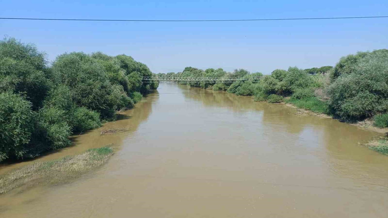 AYDIN'IN İNCİRLİOVA İLÇESİNDE SERİNLEMEK AMACIYLA BÜYÜK MENDERES NEHRİ'NE GİRDİKTEN SONRA AKINTIYA...
