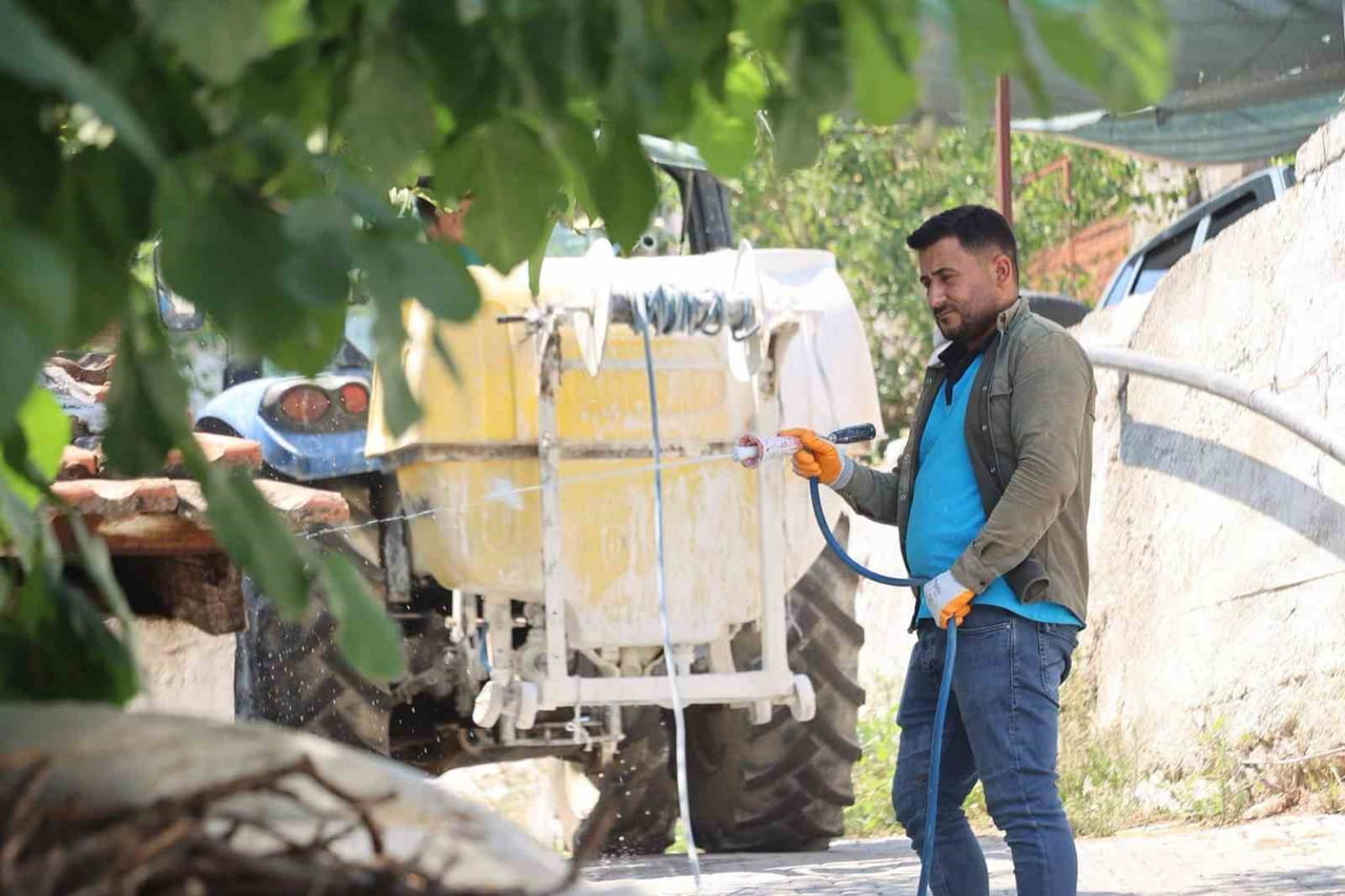 AYDIN'IN KOÇARLI İLÇESİNE BAĞLI ŞAHİNCİLER MAHALLESİ'NDE BELEDİYE EKİPLERİ TARAFINDAN KİREÇLEME VE...