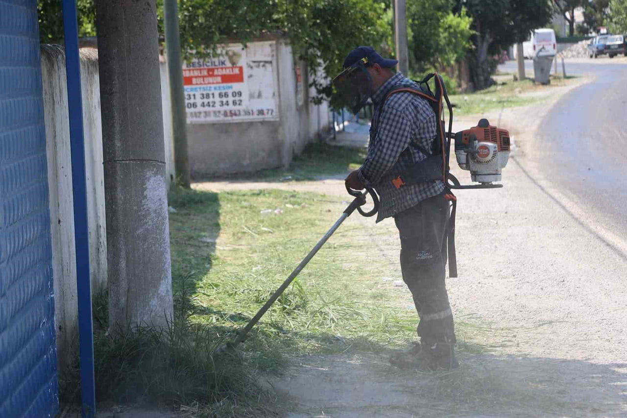 AYDIN'IN KOÇARLI İLÇESİNE BAĞLI ŞAHİNCİLER MAHALLESİ'NDE BELEDİYE EKİPLERİ TARAFINDAN KİREÇLEME VE...