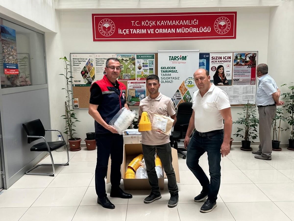 AYDIN'IN KÖŞK İLÇESİNDE, AKDENİZ MEYVE SİNEĞİYLE MÜCADELE KAPSAMINDA ÜRETİCİLERE YÜZDE 50 HİBELİ...