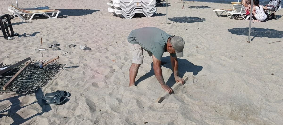 AYDIN'IN KUŞADASI İLÇESİ SAHİLLERİNDE KIYIYA VURAN 3 CARETTA CARETTANIN ARDINDAN, KUŞADASI'NDA...
