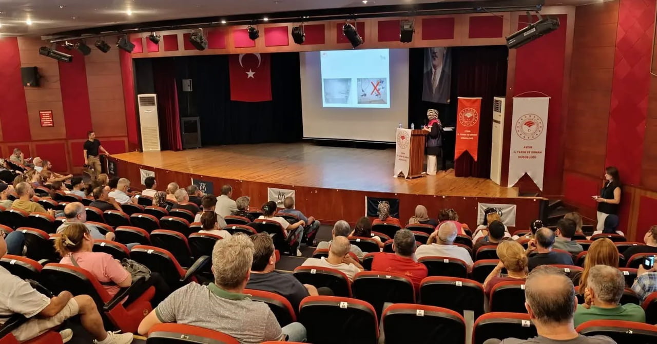 AYDIN'IN NAZİLLİ İLÇESİNDE TOPLU TÜKETİM İŞLETMELERİNE YÖNELİK "GIDA GÜVENİLİRLİĞİ, HİJYEN...