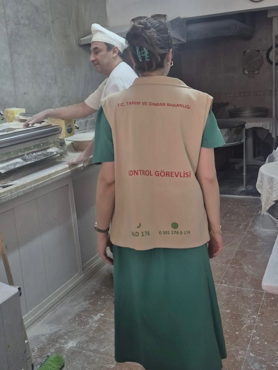 AYDIN'IN SÖKE İLÇESİNDE HALK SAĞLIĞININ KORUNMASI HEDEFİYLE RİSKE DAYALI GIDA İŞLETMELERİNDE...
