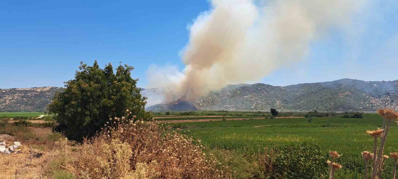 AYDIN'IN SÖKE İLÇESİNDE ZİRAİ ALANDA MEYDANA GELEN YANGINI SÖNDÜRMEK İÇİN EKİPLERİN ÇALIŞMALARI...
