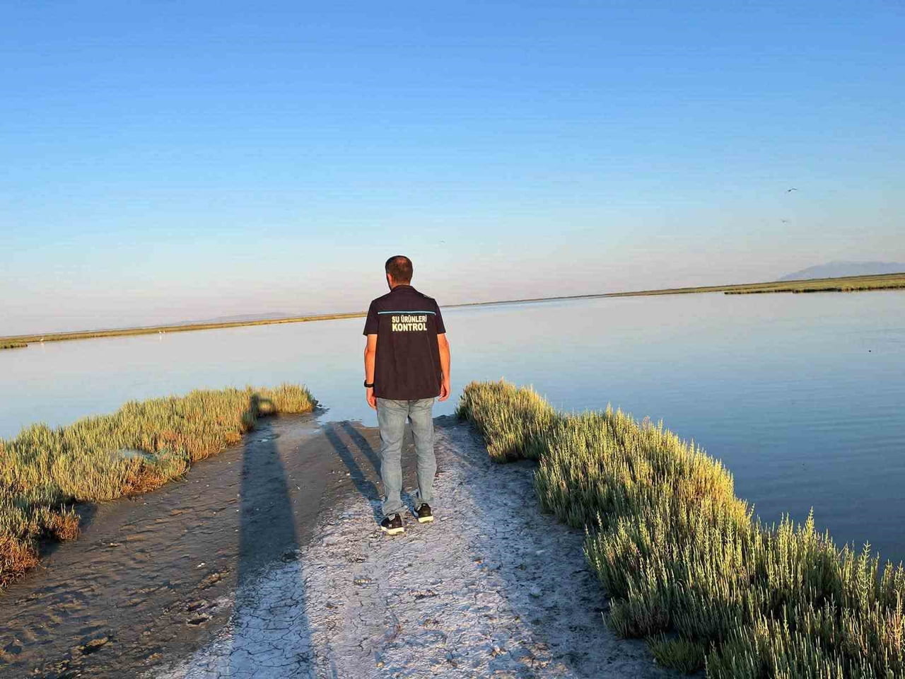 AYDIN’IN DİDİM İLÇESİNDEKİ ALANLARDA VE KARAYA ÇIKIŞ NOKTALARINDA SU ÜRÜNLERİNE YÖNELİK DENETİM...