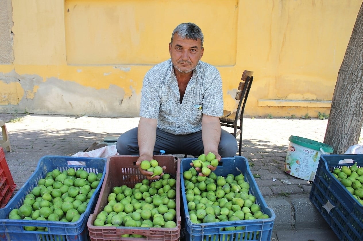 AYDIN’IN İNCİRLİOVA İLÇESİNDE YAŞAYAN 53 YAŞINDAKİ HAKAN EROL KÜÇÜK YAŞLARDA PAMUK TARLALARINDA...