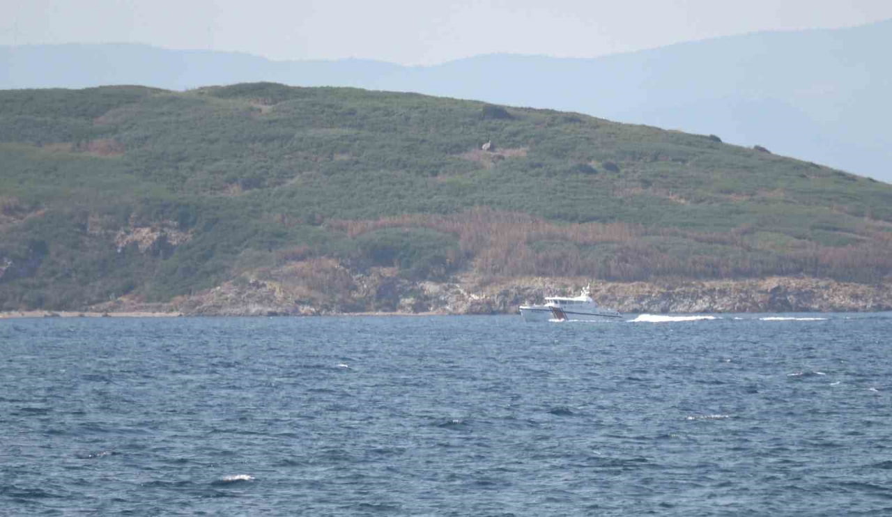 AYVALIK’TA GECE DENİZDE KAYBOLAN GENÇ İÇİN ARAMA KURTARMA ÇALIŞMALARI ARALIKSIZ SÜRÜYOR