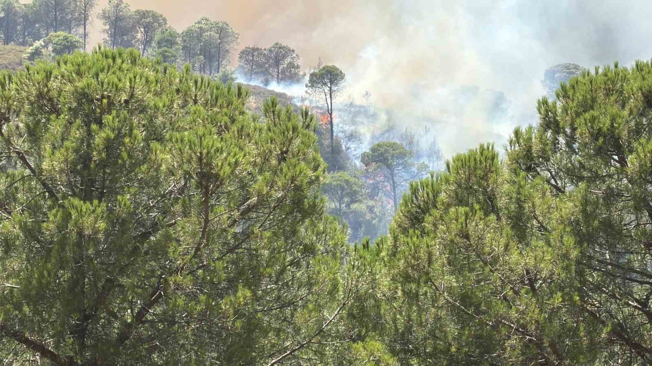 BAĞYÜZÜ KÖYÜ YAKINLARINDA YANGIN TEKRAR BAŞLADI