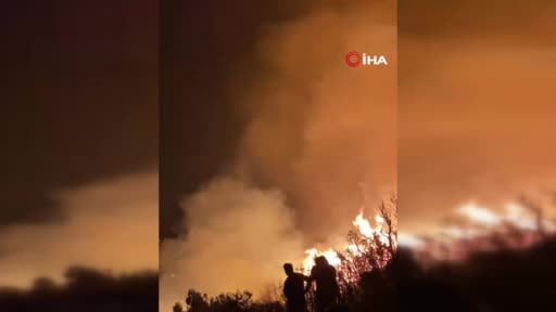 Bakan Yumaklı'dan orman yangınlarıyla ilgili açıklama: 4 bölgede tamamen, 6 bölgede büyük ölçüde...