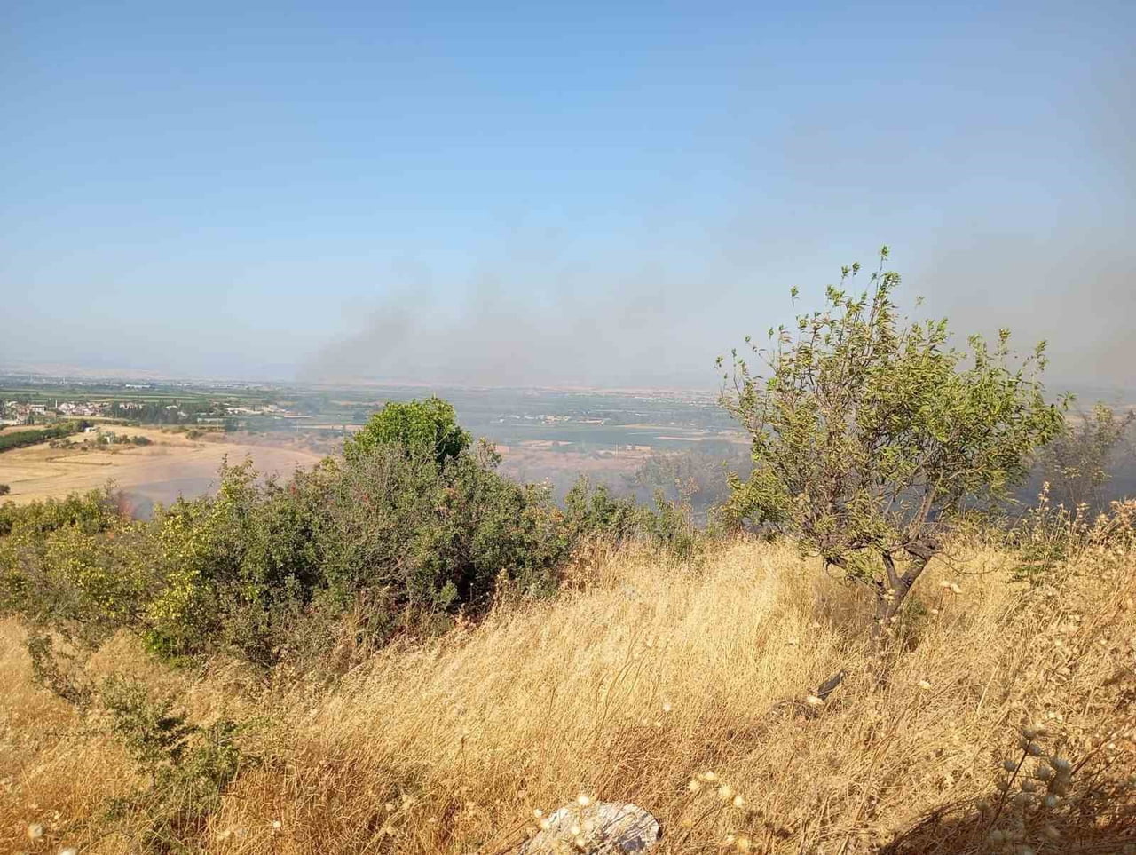 BALIKESİR'İN ALTIEYLÜL İLÇESİ KÜÇÜKBOSTANCI MAHALLESİNDE ZİRAİ VE OTLUK ALANDA ÇIKAN YANGINA...