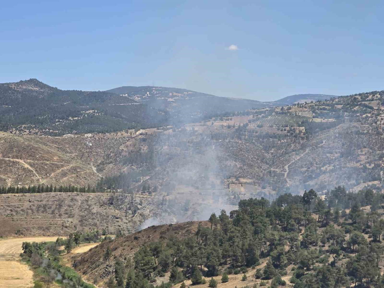 BALIKESİR'İN DURSUNBEY İLÇESİNE BAĞLI ADAÖREN KIRSAL MAHALLESİ YAKINLARINDA ORMAN DIŞI ALANDA...