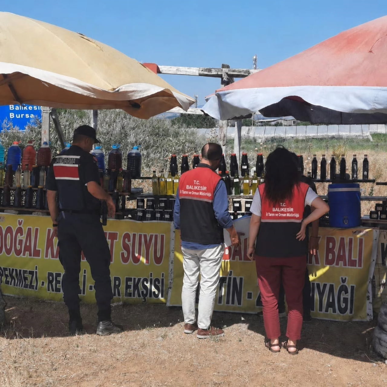 BALIKESİR'İN EDREMİT İLÇE TARIM VE ORMAN MÜDÜRLÜĞÜ İLE JANDARMA KOMUTANLIĞI EKİPLERİ, TÜKETİCİ...
