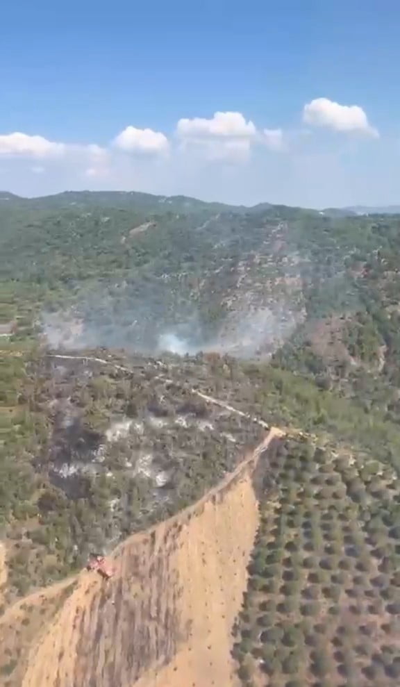 BALIKESİR'İN GÖMEÇ İLÇESİNDE ORMAN DIŞI ARAZİDE BAŞLAYARAK BURHANİYE İLÇESİNDEKİ ORMANLIK ALANA...